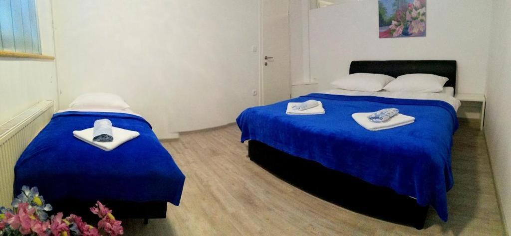 Apartma As Lesce  Esterno foto