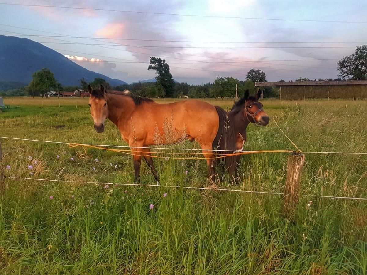 Apartma As Lesce  Esterno foto